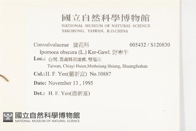 野牽牛藏品圖，第2張