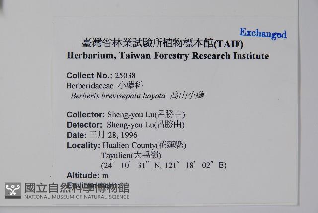 高山小蘗藏品圖，第2張