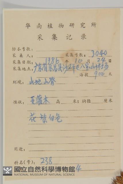 華薊藏品圖，第2張