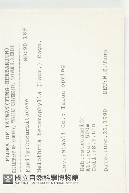 變葉馬交兒藏品圖，第2張