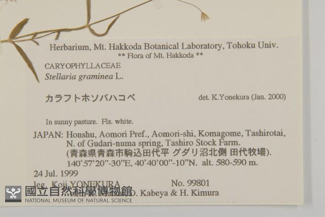 禾葉繁縷藏品圖，第2張