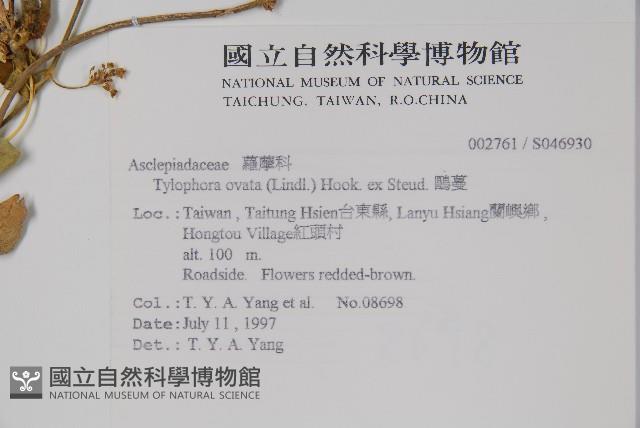 鷗蔓藏品圖，第2張