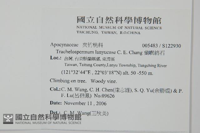 蘭嶼絡石藏品圖，第2張