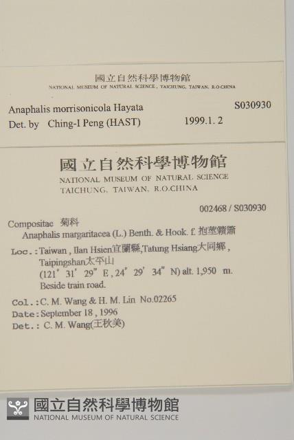 玉山抱莖籟簫藏品圖，第2張