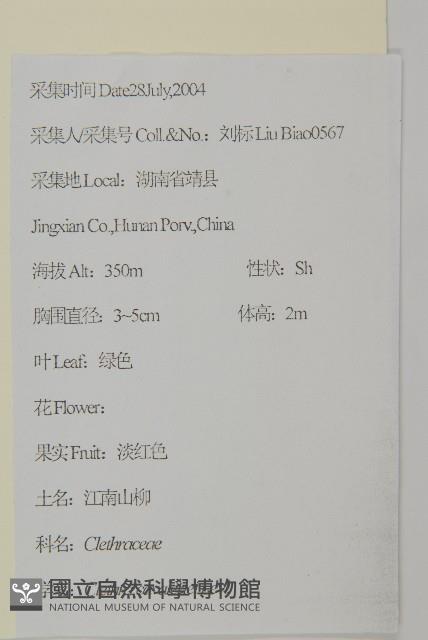 江南山柳藏品圖，第2張