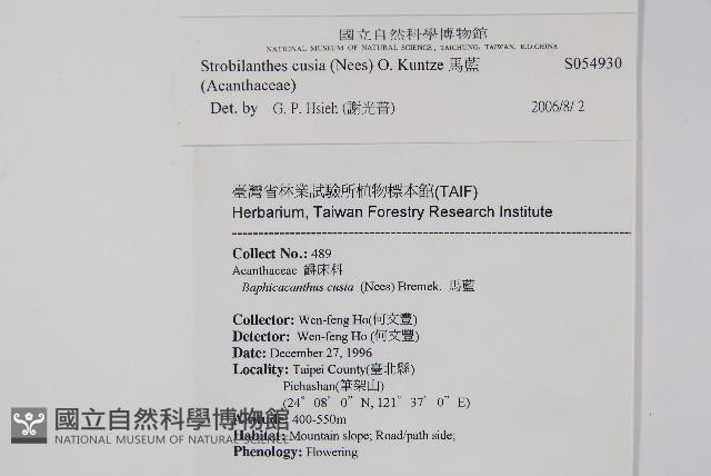 馬藍藏品圖，第2張