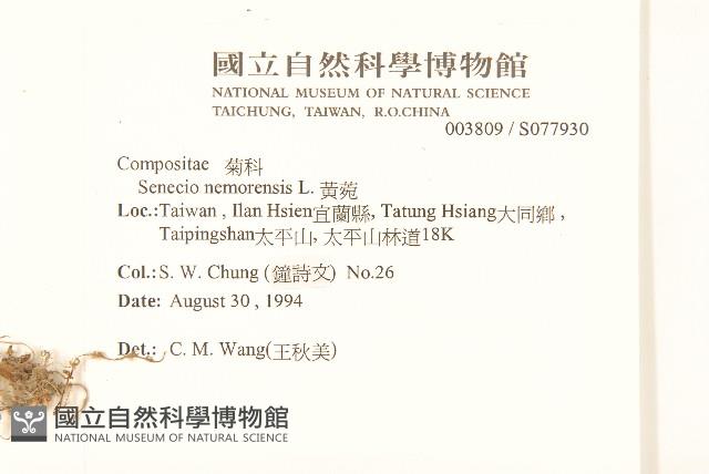 黃菀藏品圖，第2張