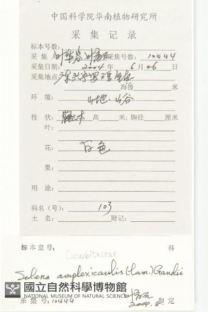 茅瓜藏品圖，第2張