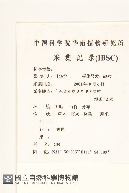 金腰箭藏品圖，第2張