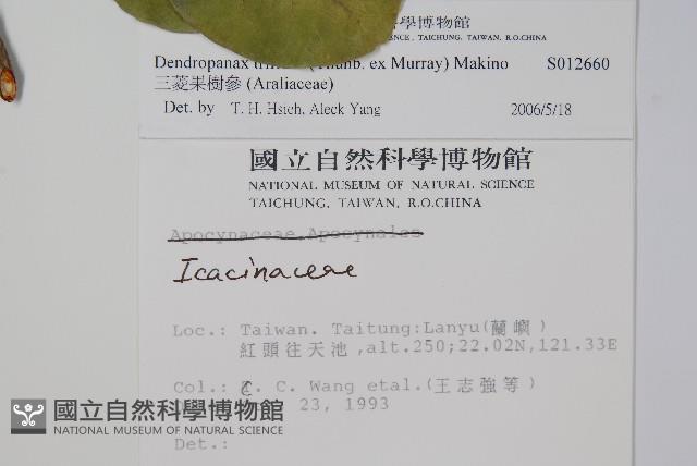 三菱果樹參藏品圖，第2張