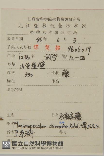 永瓣藤藏品圖，第2張