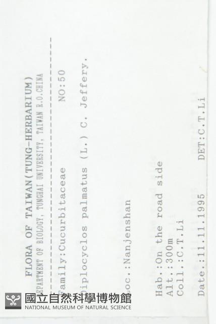 雙輪瓜藏品圖，第2張