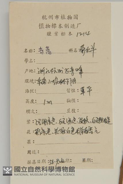 珍珠蒿、奇蒿藏品圖，第2張