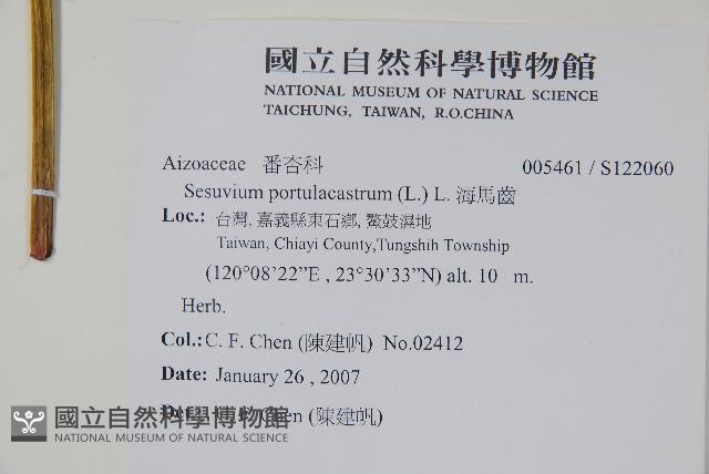 海馬齒藏品圖，第2張