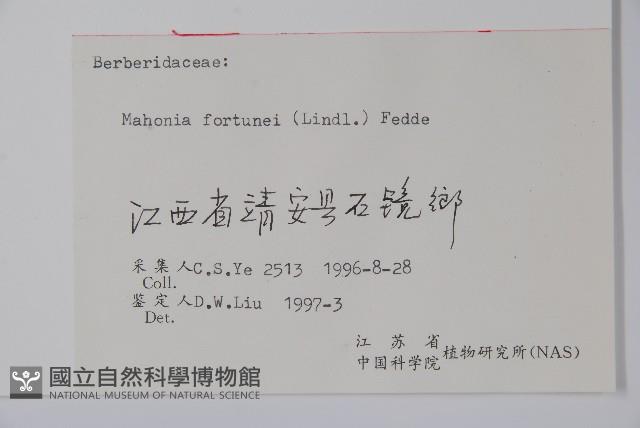 細葉十大功勞藏品圖，第2張