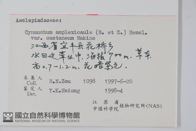 紫花合掌消藏品圖，第2張