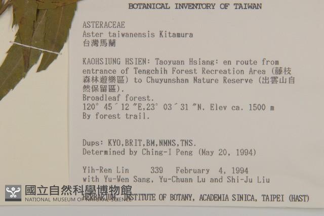 臺灣馬蘭藏品圖，第2張