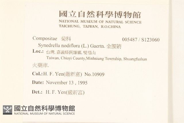 金腰箭藏品圖，第2張