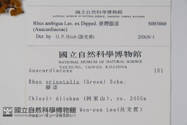 臺灣藤漆藏品圖，第2張