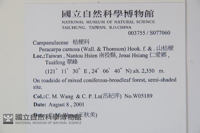 山桔梗藏品圖，第2張