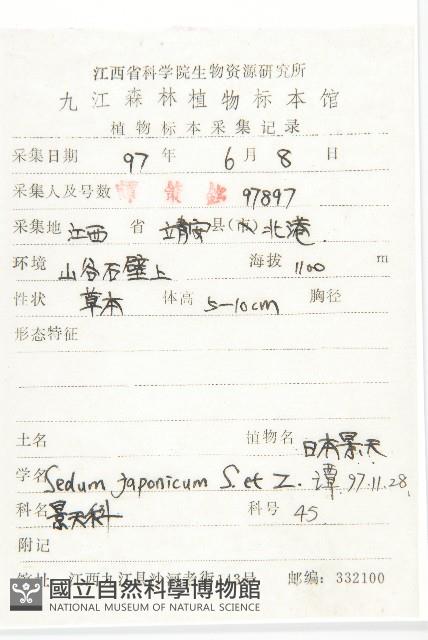 佛甲草藏品圖，第2張