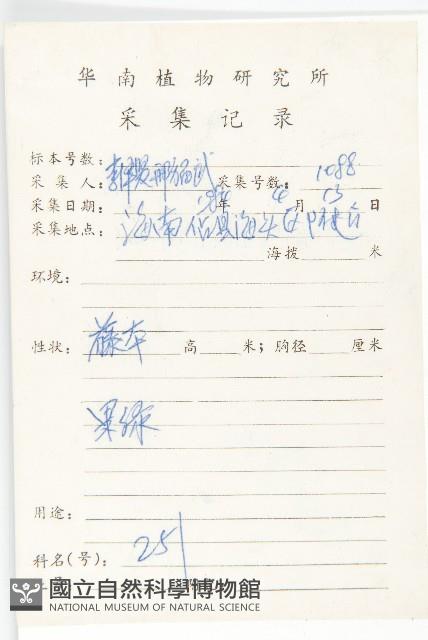 九爪藤藏品圖，第2張