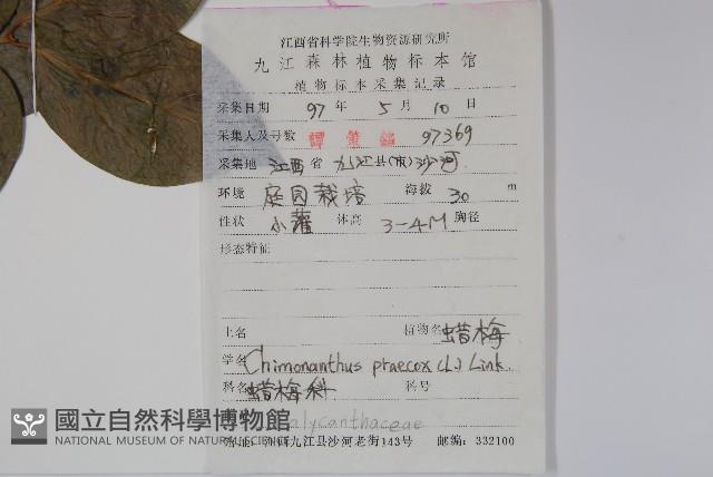 Wintersweet Collection Image, Figure 2, Total 2 Figures