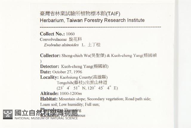 土丁桂藏品圖，第2張