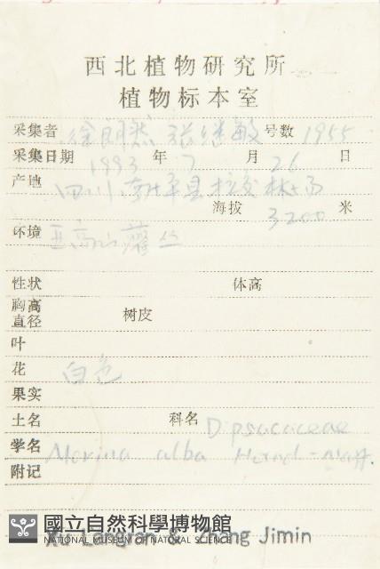 白花刺續斷藏品圖，第2張