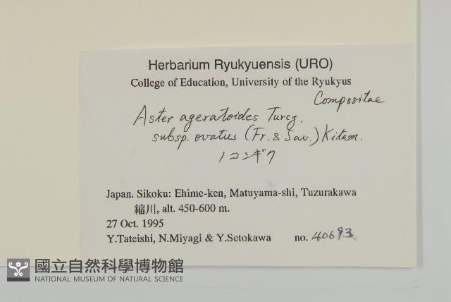 登錄號:S051260藏品圖，第2張