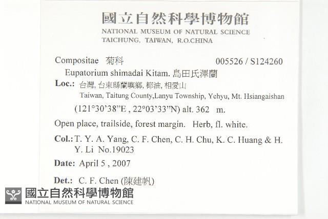 島田氏澤蘭藏品圖，第2張