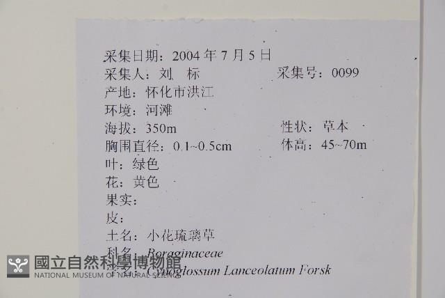 小花倒提壺藏品圖，第2張