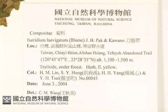 刀傷草藏品圖，第2張