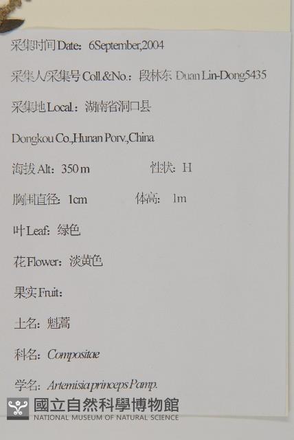 魁蒿藏品圖，第2張