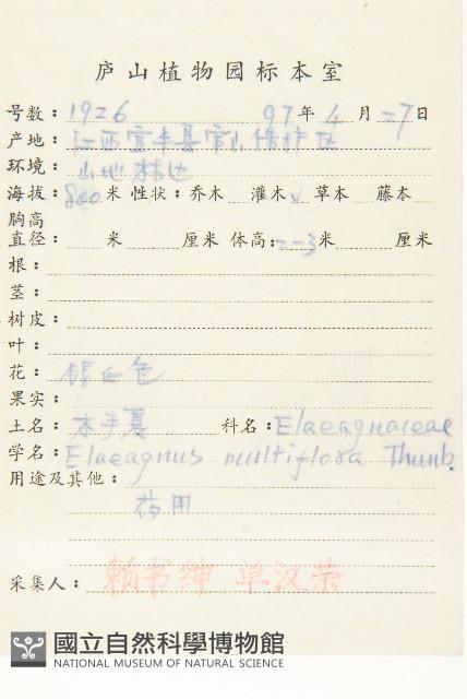 木半夏藏品圖，第2張