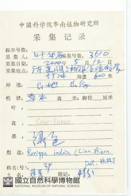 葶藶藏品圖，第2張