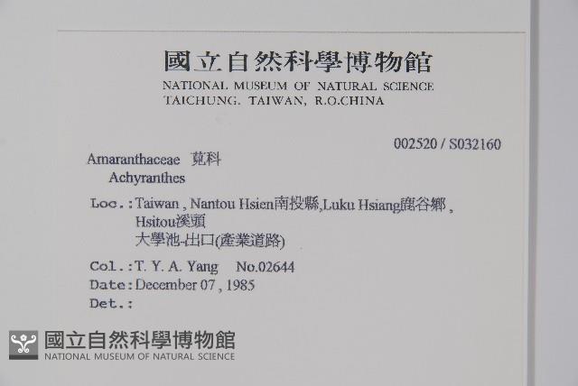 登錄號:S032160藏品圖，第2張