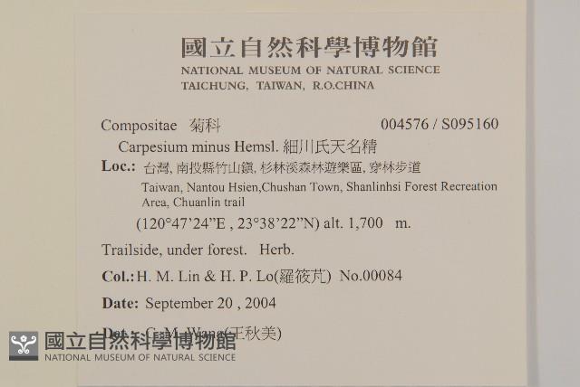 細川氏天名精藏品圖，第2張