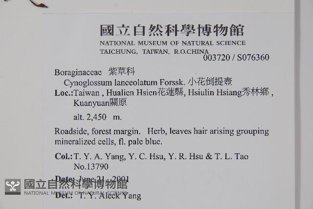 小花倒提壺藏品圖，第2張