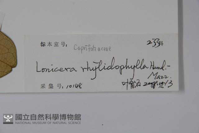 登錄號:S102360藏品圖，第2張