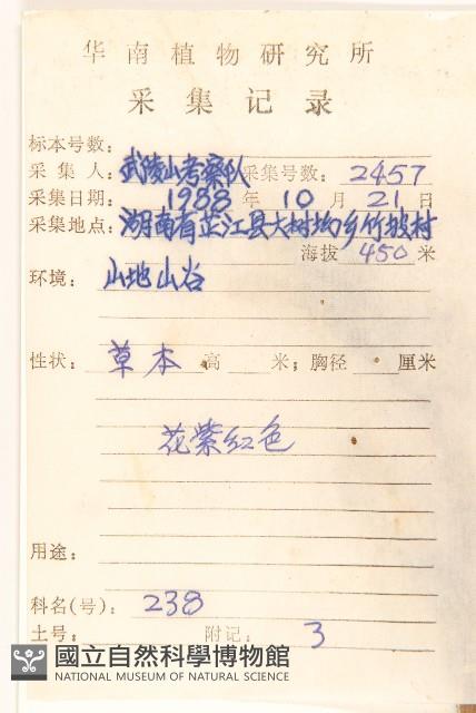 一枝香藏品圖，第2張