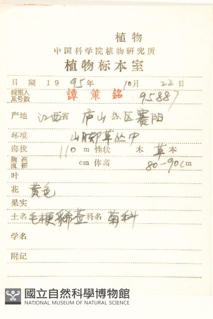 毛梗豨薟藏品圖，第2張