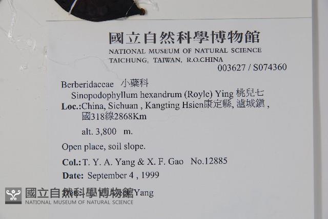 桃兒七藏品圖，第2張