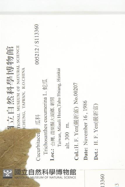 王瓜藏品圖，第2張