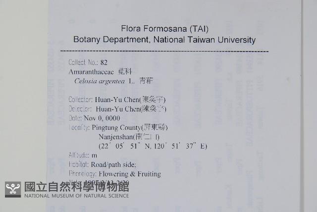 青葙藏品圖，第2張