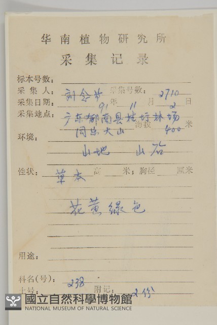 白花鬼針藏品圖，第2張