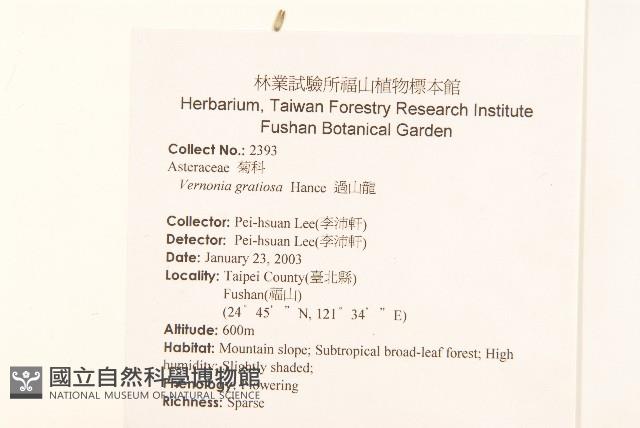 過山龍藏品圖，第2張