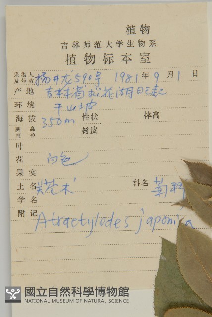 關蒼朮藏品圖，第2張