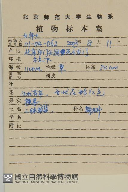 山白蘭藏品圖，第2張