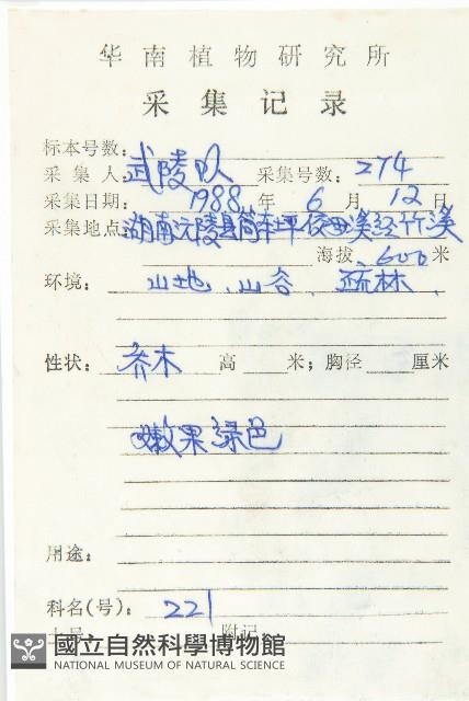 黑棗、君遷子藏品圖，第2張